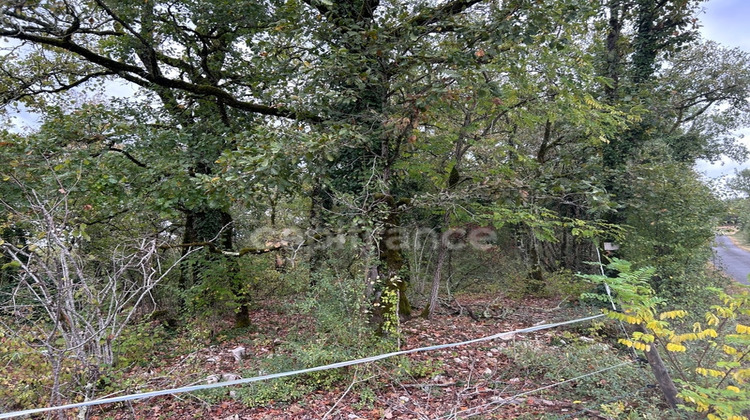 Ma-Cabane - Vente Terrain SAINT PANTALY D EXCIDEUIL, 16353 m²