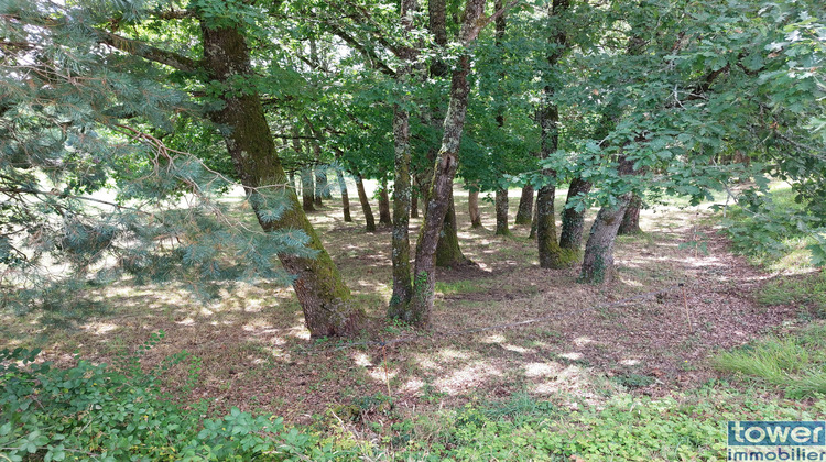 Ma-Cabane - Vente Terrain Saint-Pardoux-la-Rivière, 2216 m²