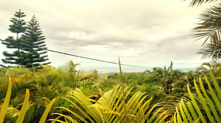 Ma-Cabane - Vente Terrain Saint-Paul, 473 m²