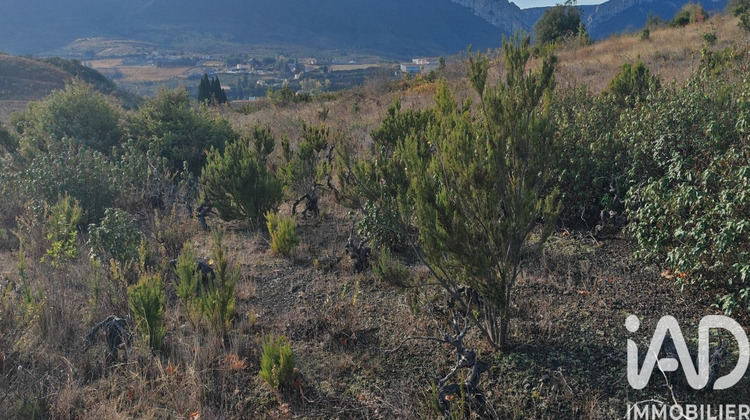 Ma-Cabane - Vente Terrain Saint-Paul-de-Fenouillet, 5805 m²