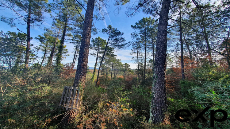 Ma-Cabane - Vente Terrain Saint-Paul-en-Forêt, 1300 m²