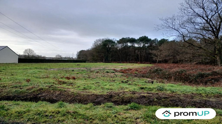 Ma-Cabane - Vente Terrain Saint-Philbert-du-Peuple, 4000 m²