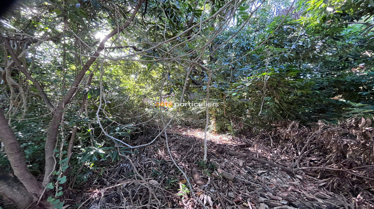 Ma-Cabane - Vente Terrain Saint-Pierre, 480 m²