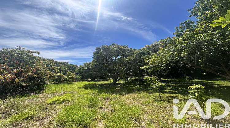 Ma-Cabane - Vente Terrain Saint-Pierre, 747 m²