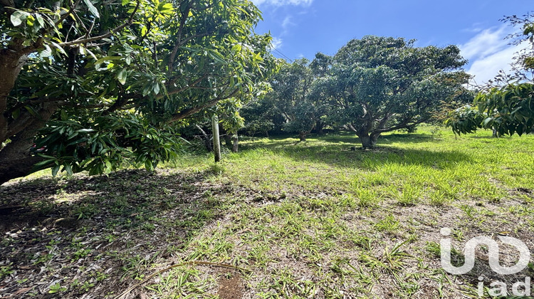 Ma-Cabane - Vente Terrain Saint-Pierre, 747 m²