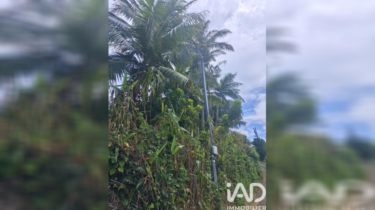 Ma-Cabane - Vente Terrain Saint-Pierre, 754 m²