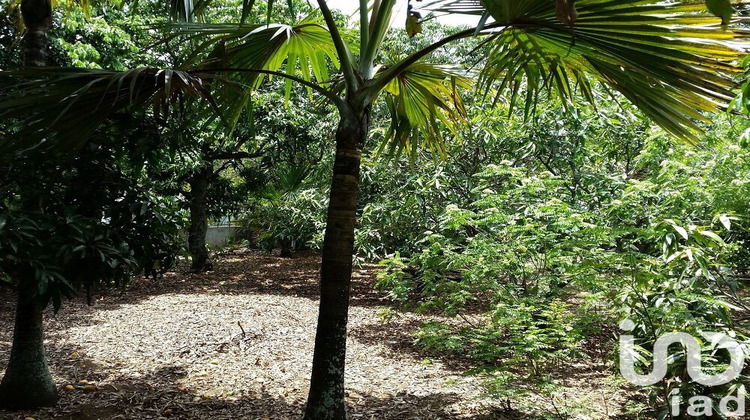 Ma-Cabane - Vente Terrain Saint-Pierre, 400 m²