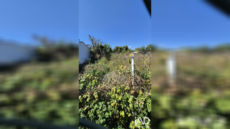Ma-Cabane - Vente Terrain Saint-Pierre, 1338 m²
