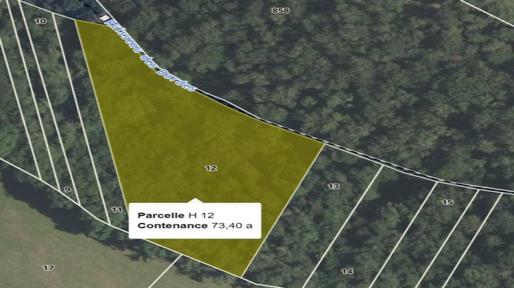 Ma-Cabane - Vente Terrain Saint-Plantaire, 8925 m²