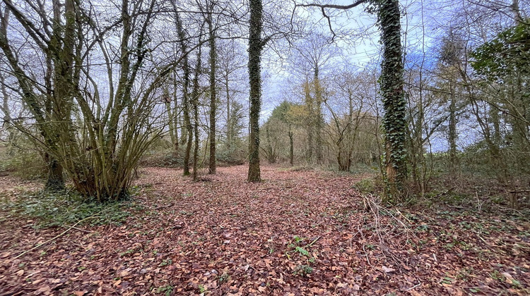 Ma-Cabane - Vente Terrain SAINT-POIX, 10900 m²