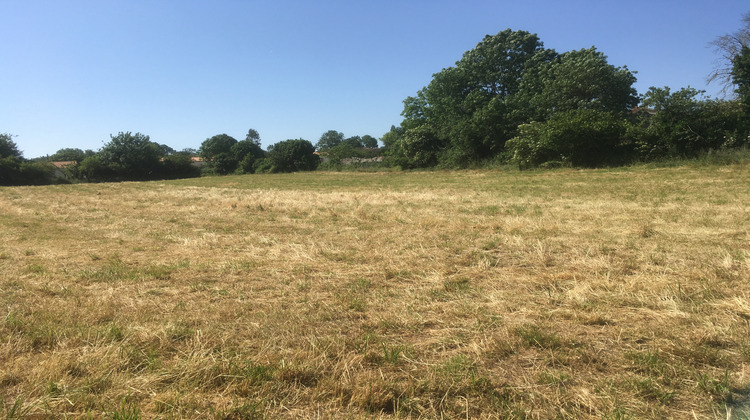 Ma-Cabane - Vente Terrain Saint-Pompain, 6090 m²