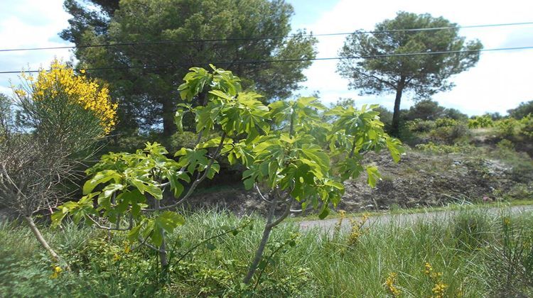 Ma-Cabane - Vente Terrain SAINT PONS DE MAUCHIENS, 0 m²