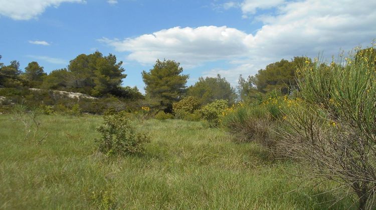 Ma-Cabane - Vente Terrain SAINT PONS DE MAUCHIENS, 0 m²