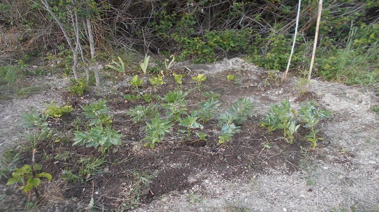 Ma-Cabane - Vente Terrain SAINT PONS DE MAUCHIENS, 0 m²