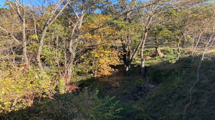 Ma-Cabane - Vente Terrain Saint-Privat, 1850 m²