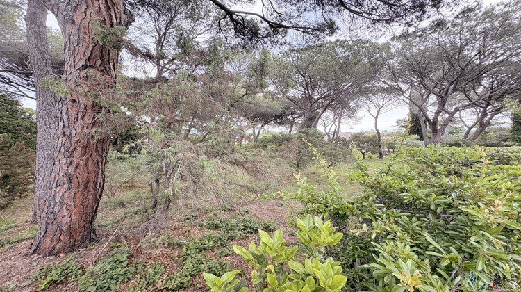 Ma-Cabane - Vente Terrain Saint-Raphaël, 1320 m²