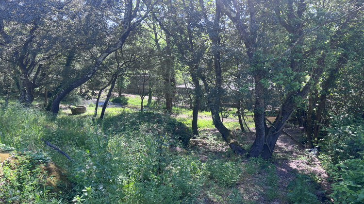 Ma-Cabane - Vente Terrain Saint-Raphaël, 1102 m²