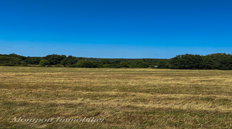 Ma-Cabane - Vente Terrain SAINT-REMY, 9518 m²