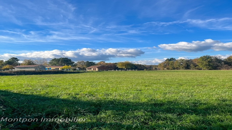 Ma-Cabane - Vente Terrain SAINT-REMY, 22871 m²