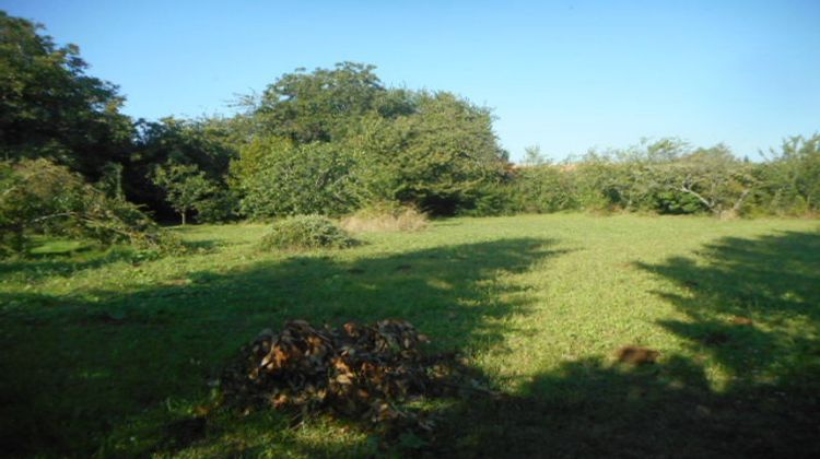 Ma-Cabane - Vente Terrain Saint-Rémy, 1015 m²