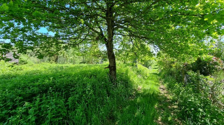 Ma-Cabane - Vente Terrain SAINT REMY SUR DUROLLE, 5990 m²