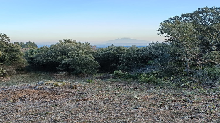 Ma-Cabane - Vente Terrain Saint-Restitut, 2000 m²