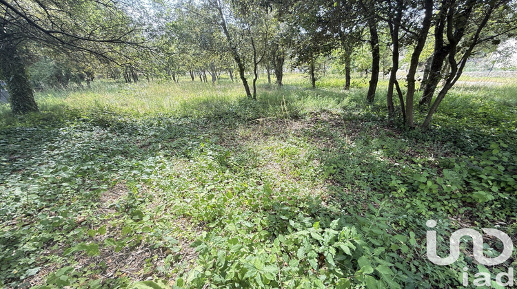 Ma-Cabane - Vente Terrain Saint-Restitut, 2002 m²