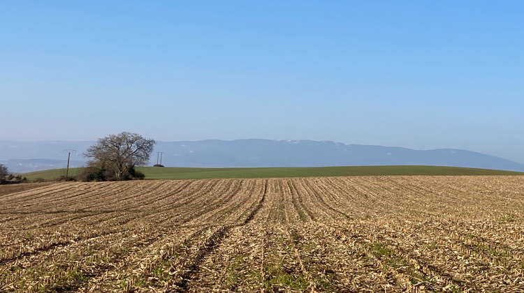 Ma-Cabane - Vente Terrain Saint-Romain-de-Surieu, 503 m²