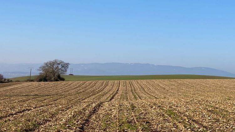 Ma-Cabane - Vente Terrain Saint-Romain-de-Surieu, 470 m²