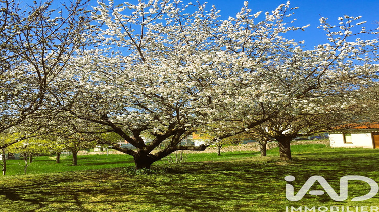 Ma-Cabane - Vente Terrain Saint-Rome-de-Tarn, 8924 m²