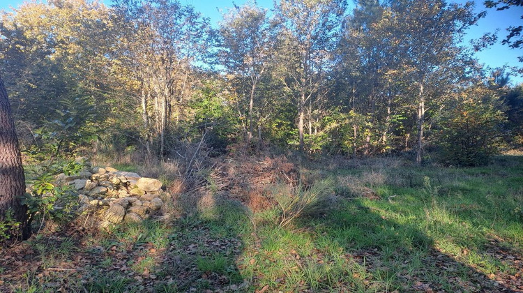 Ma-Cabane - Vente Terrain SAINT SAUVEUR, 0 m²