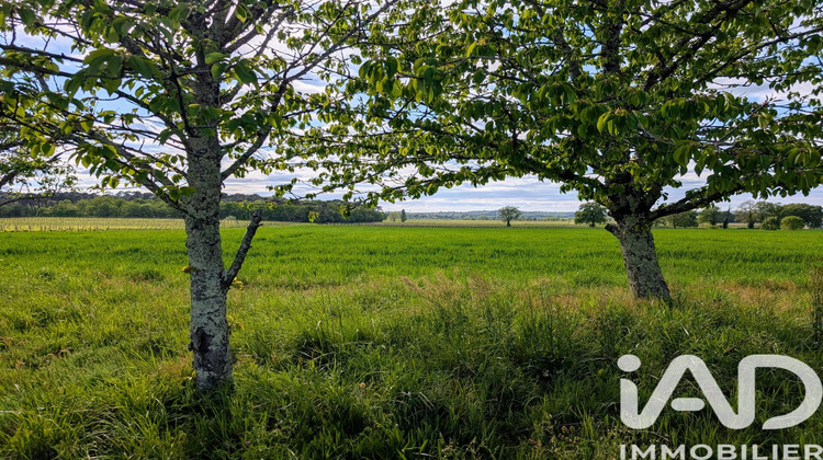 Ma-Cabane - Vente Terrain Saint-Sauveur-de-Puynormand, 619 m²