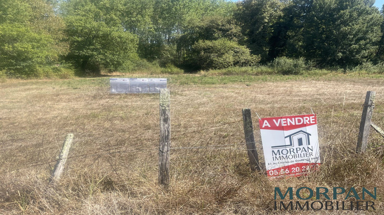 Ma-Cabane - Vente Terrain Saint-Selve, 700 m²