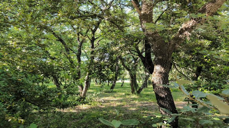 Ma-Cabane - Vente Terrain Saint-Siffret, 937 m²