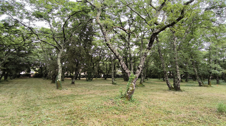 Ma-Cabane - Vente Terrain Saint-Siffret, 600 m²