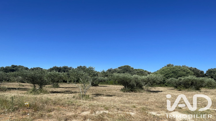 Ma-Cabane - Vente Terrain Saint-Siffret, 1764 m²