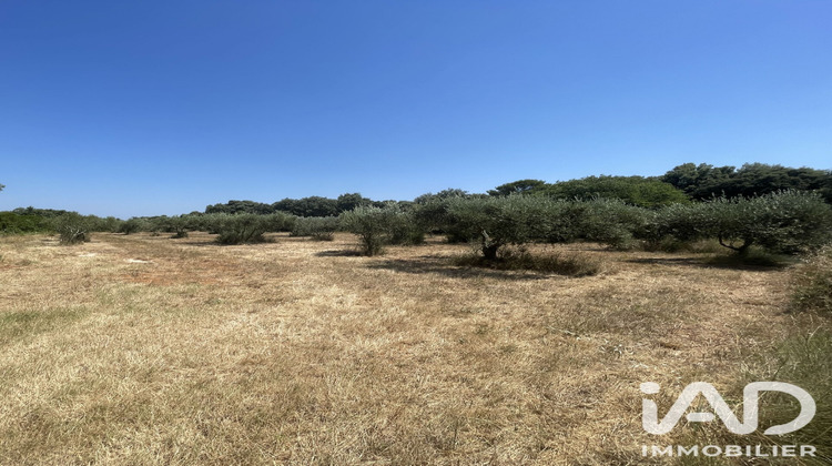 Ma-Cabane - Vente Terrain Saint-Siffret, 1764 m²