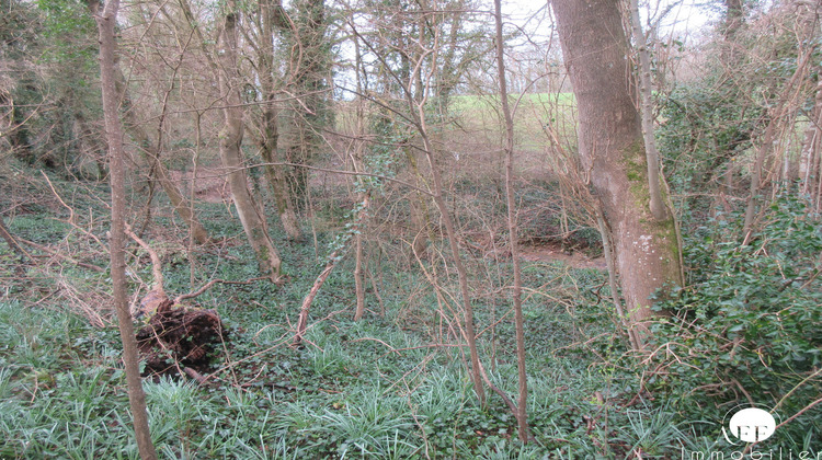 Ma-Cabane - Vente Terrain Saint-Siméon, 3102 m²