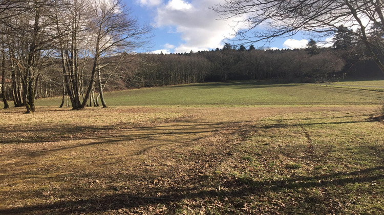 Ma-Cabane - Vente Terrain Saint-Sulpice-le-Dunois, 4509 m²