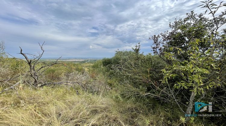 Ma-Cabane - Vente Terrain Saint-Thibéry, 7310 m²