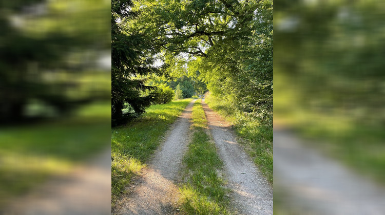 Ma-Cabane - Vente Terrain Saint-Ulrich, 5100 m²