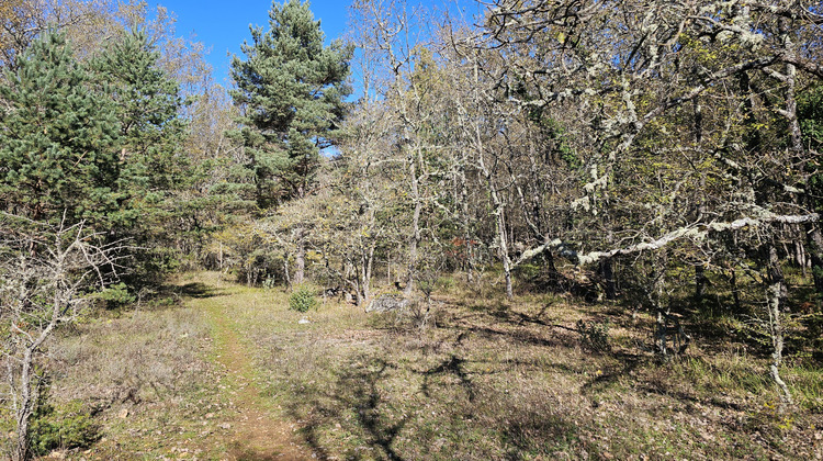 Ma-Cabane - Vente Terrain Saint-Vallier-de-Thiey, 7690 m²