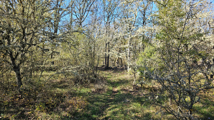 Ma-Cabane - Vente Terrain Saint-Vallier-de-Thiey, 7170 m²