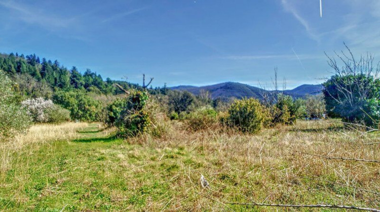 Ma-Cabane - Vente Terrain Saint-Vincent-d'Olargues, 3000 m²