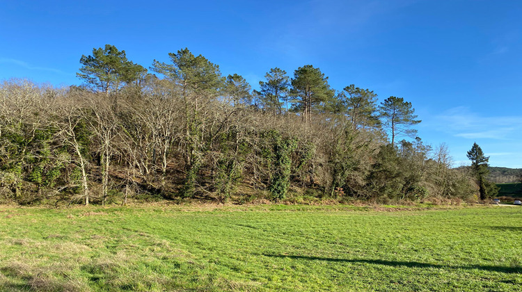 Ma-Cabane - Vente Terrain SAINT-VINCENT-LE-PALUEL, 2140 m²