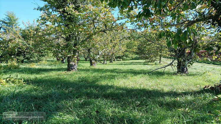 Ma-Cabane - Vente Terrain SAINT VINCENT RIVE D OLT, 1628 m²