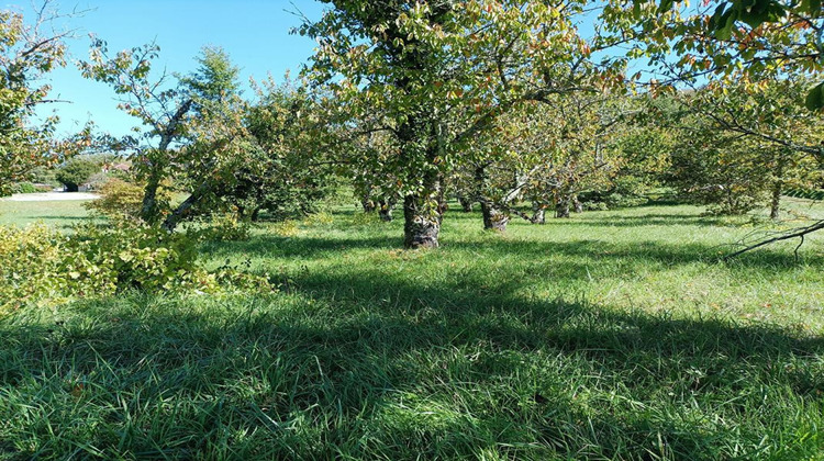 Ma-Cabane - Vente Terrain SAINT VINCENT RIVE D OLT, 1628 m²