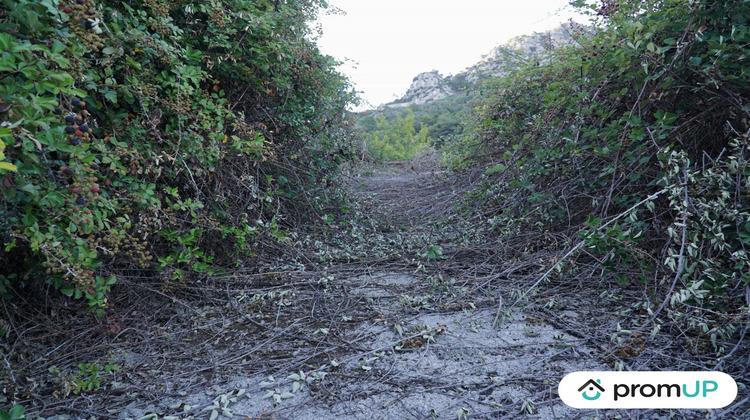 Ma-Cabane - Vente Terrain Sainte-Agnès, 1195 m²