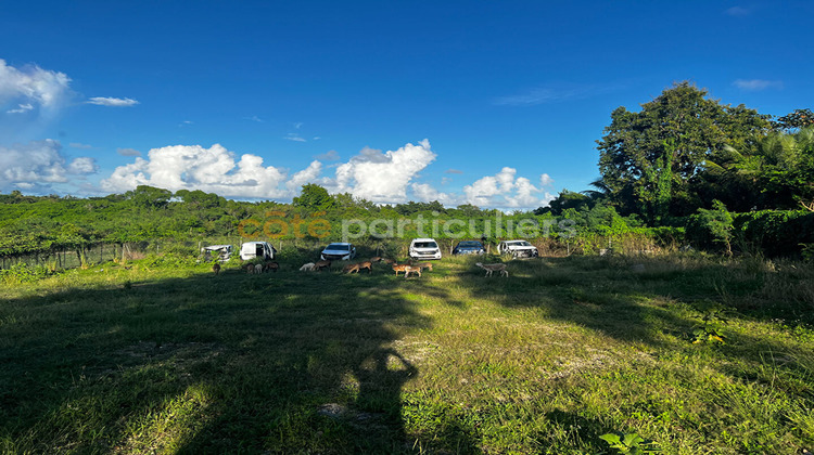 Ma-Cabane - Vente Terrain SAINTE-ANNE, 6389 m²