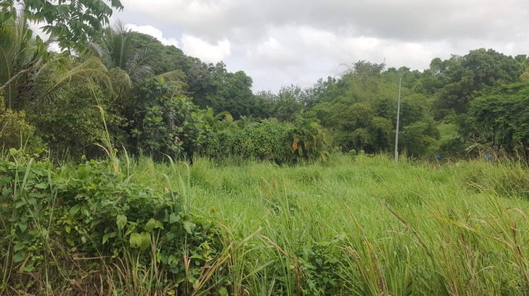 Ma-Cabane - Vente Terrain SAINTE ANNE, 669 m²